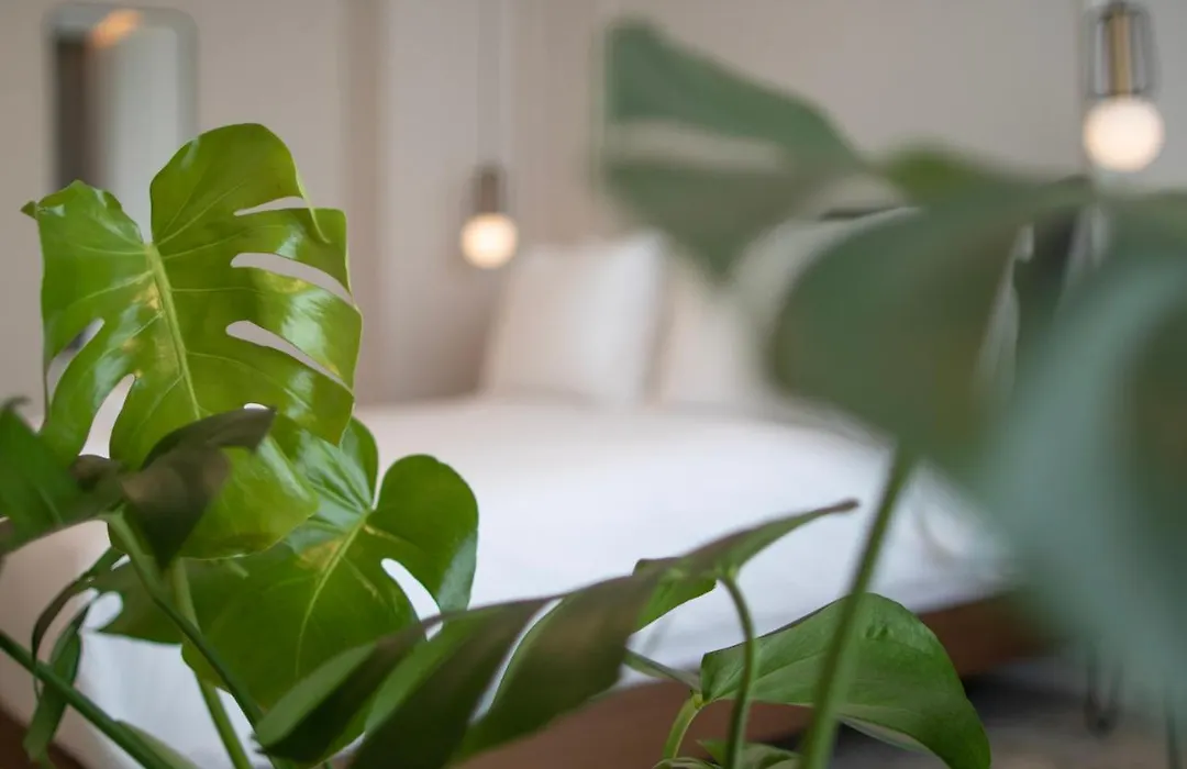 Mythodea Athens Suites-1