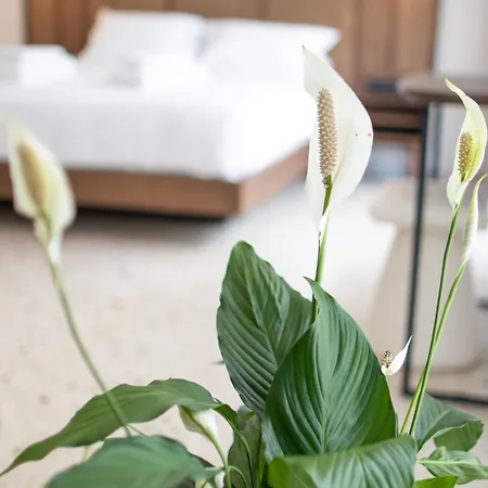 Mythodea Athens Suites-2